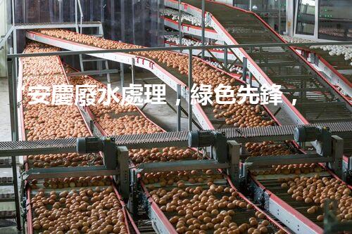 “安慶廢水處理，綠色先鋒，環(huán)保典范！”